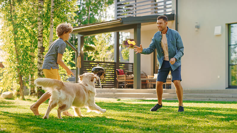 Father and son playing fetch with dog in backyard – Salem Animal Hospital Smiling father and young son playing fetch with a golden retriever in the grassy backyard of a modern home on a sunny day – Salem Animal Hospital