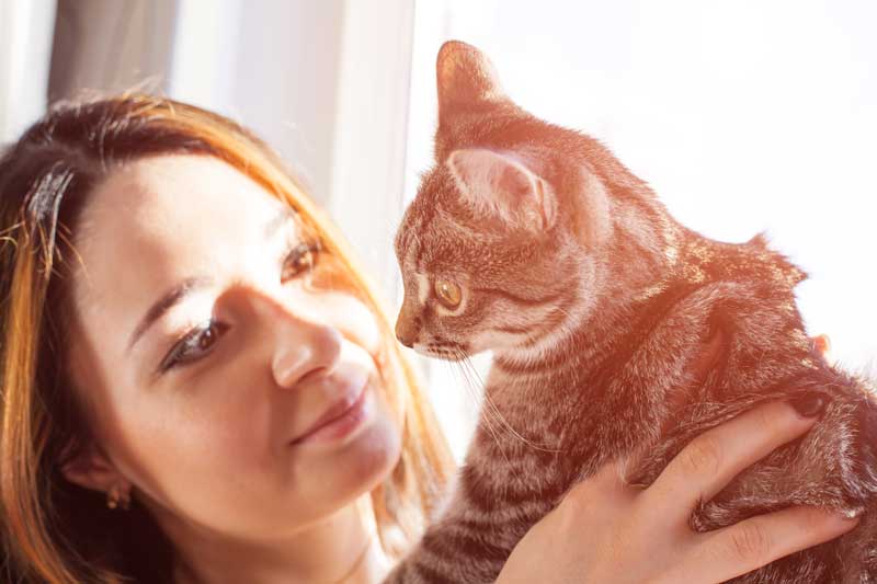 Woman holding and smiling at a tabby cat in sunlight – Salem Animal Hospital Close-up of a woman gently holding a gray tabby cat, smiling warmly as they look at each other in soft sunlight near a window – Salem Animal Hospital