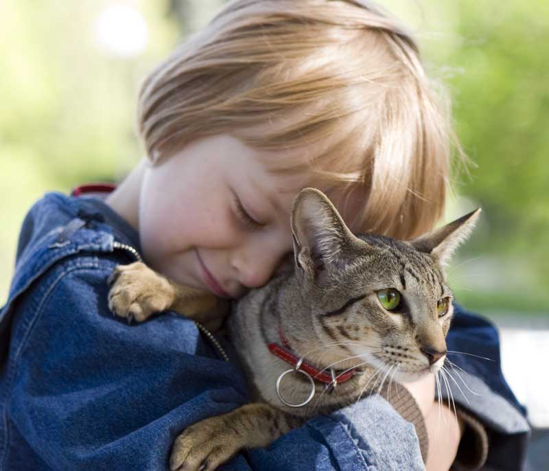 Child hugging a tabby cat outdoors – Salem Animal Hospital A child in denim cuddling and hugging her cat with a collar - Veterinarian in Salem, VA | Salem Animal Hospital