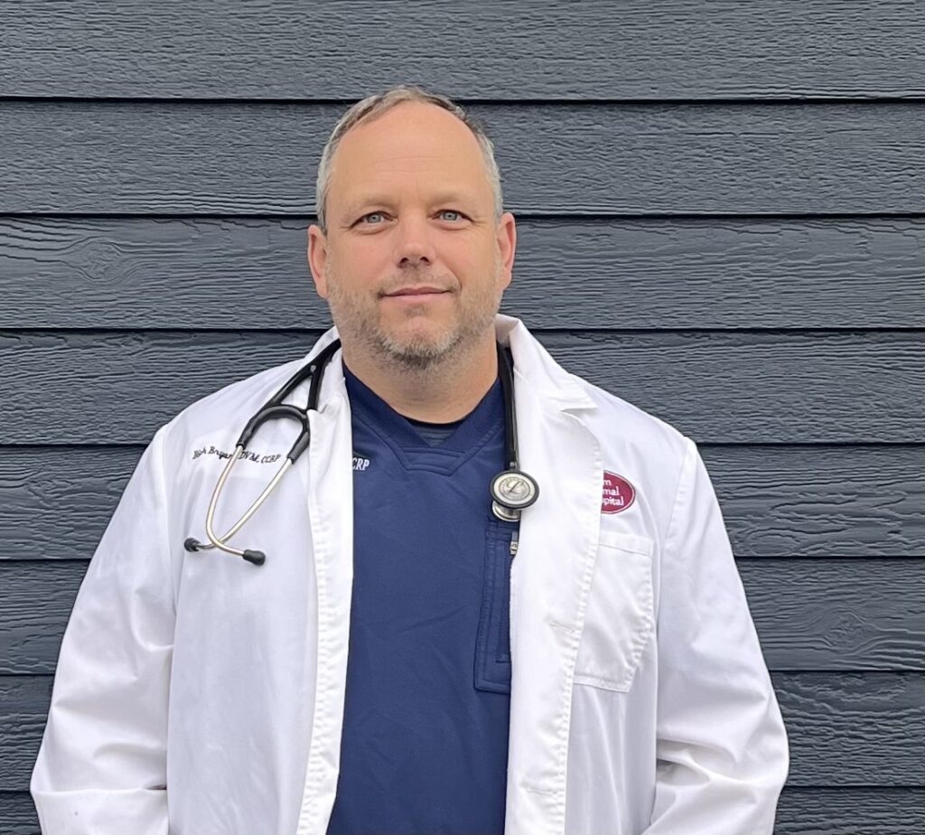 Dr. Rich Bryant wearing a white veterinary coat and navy scrubs with a stethoscope around his neck, standing against a dark wood-paneled wall – vets in Salem VA